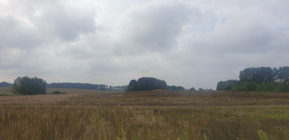 Ujazd k. Kiszkowa – działka rolna 3239 m²