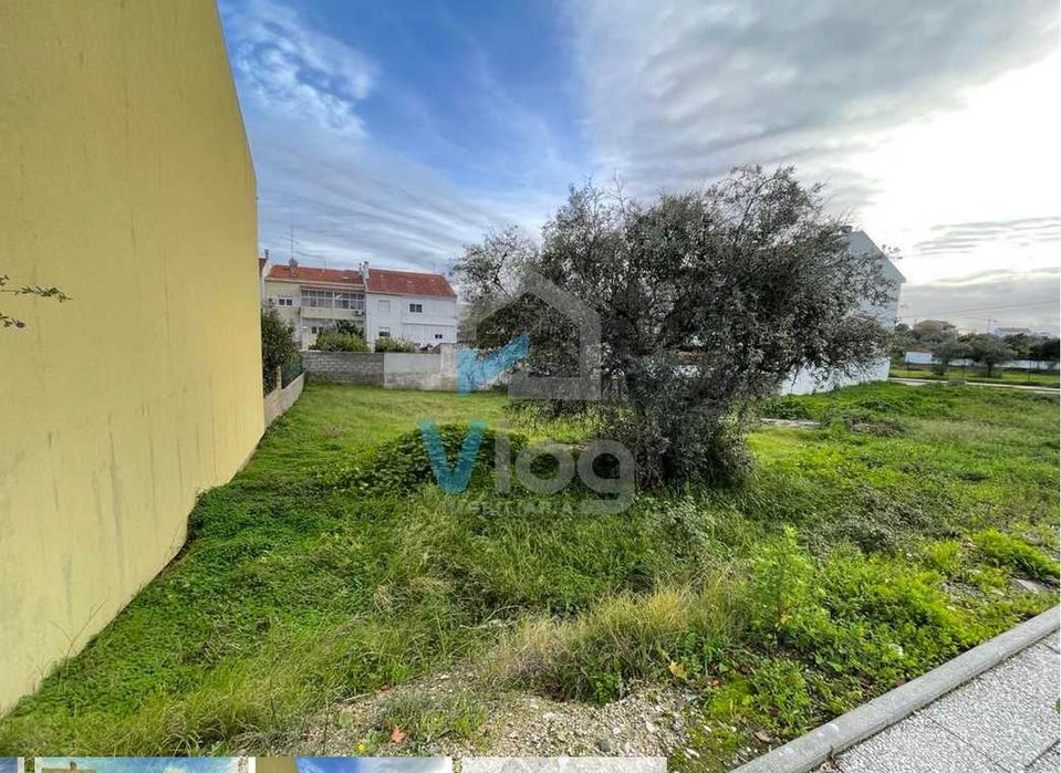 3 lotes TERRENO urbano Ribeiro das Perdizes - Castelo Branco
