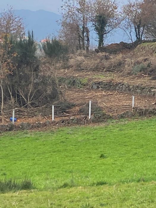 Terreno 10.000 m/2 com mina de água permanente / 10,000 m² (1 ha) plot of land with a permanent water spring