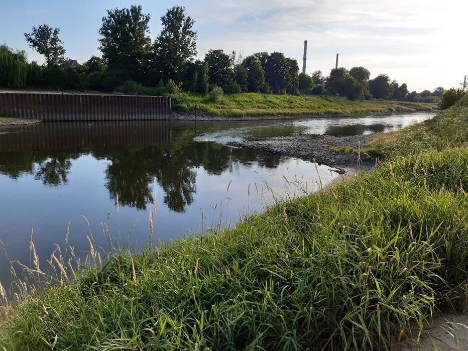Działka rolna pole lasy łąki Prawików