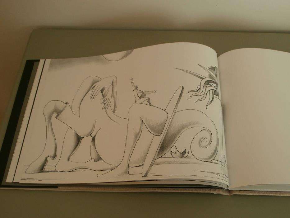 Livro Cruzeiro Seixas
