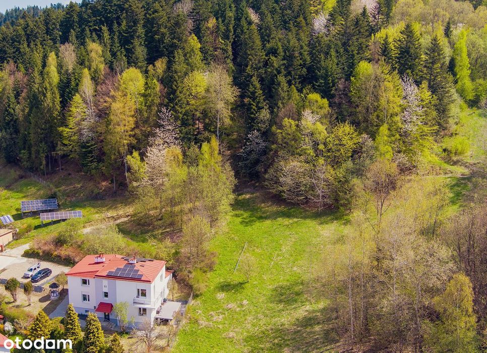 Krynica-Zdrój | najem krótkoterminowy| widok na Jaworzynę