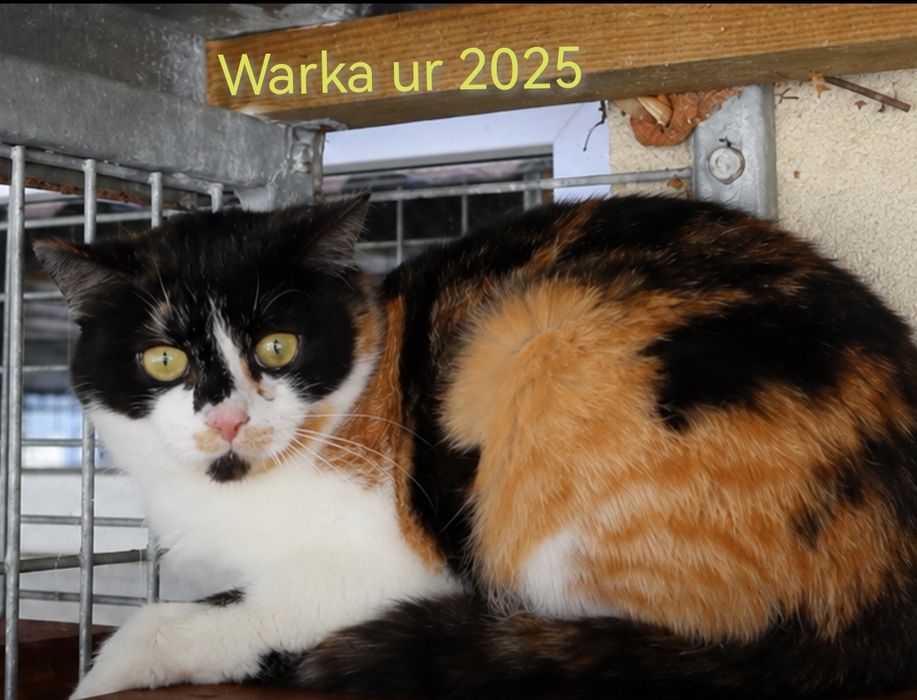 Warka - czy ktoś zrozumie jej strach