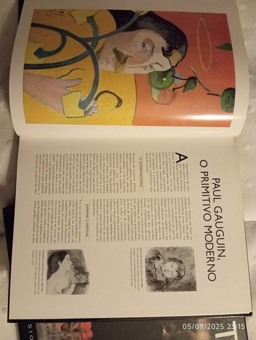 Livros de coleção pintores impressionistas famosos