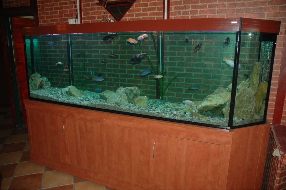 sprzedam akwarium