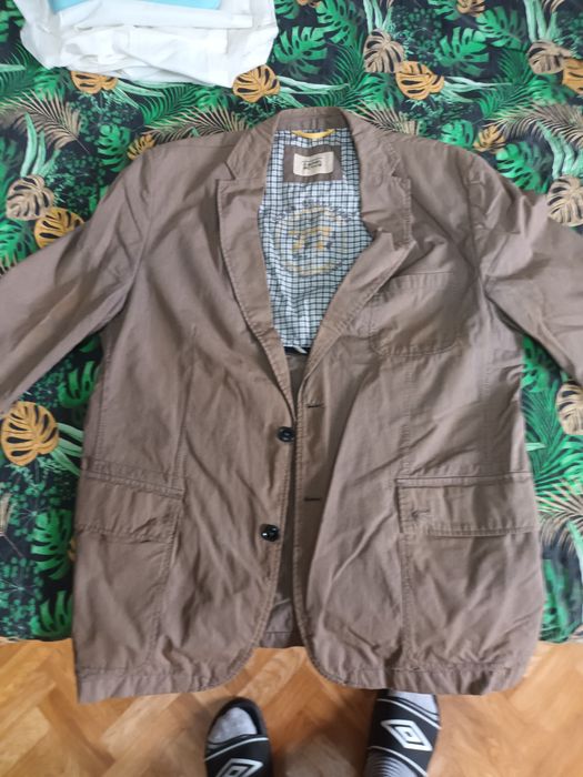 Męska Sportowa Marynarka firmy CAMEL