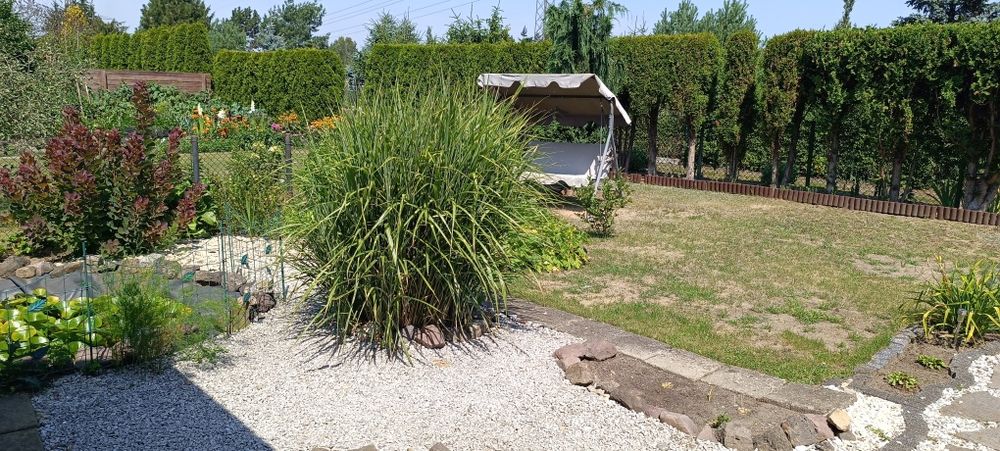 Sprzedam działkę rekreacyjną Sosnowiec Niwka