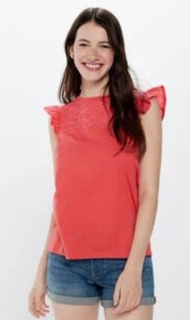 Top Springfield Novo