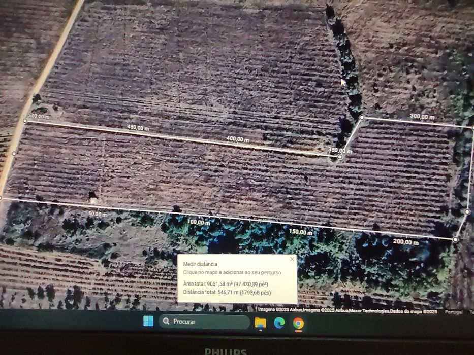 Vinha abandonada na bairrada