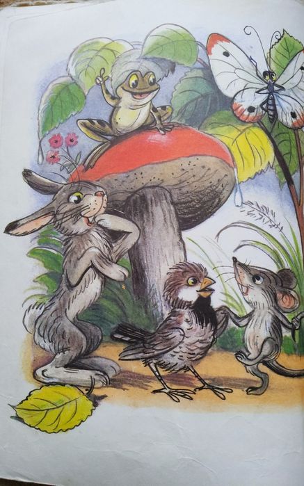 Сказки и картинки Сутеева