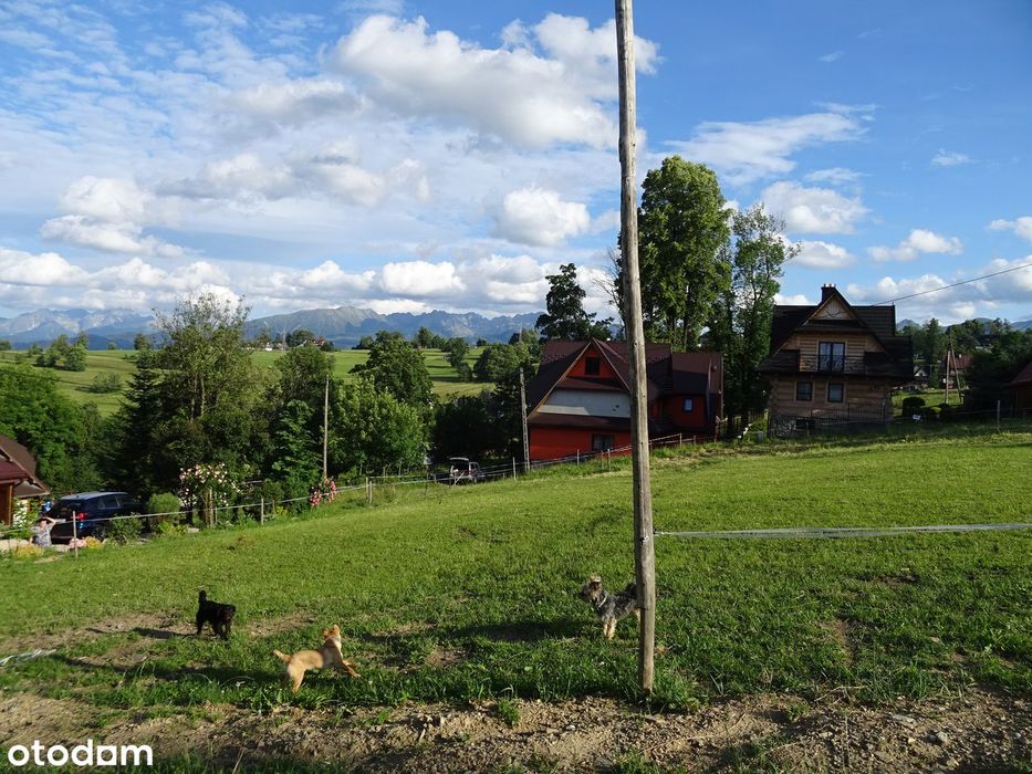 Ząb piękny widok na Tatry asfalt uzbrojona budowlana MU