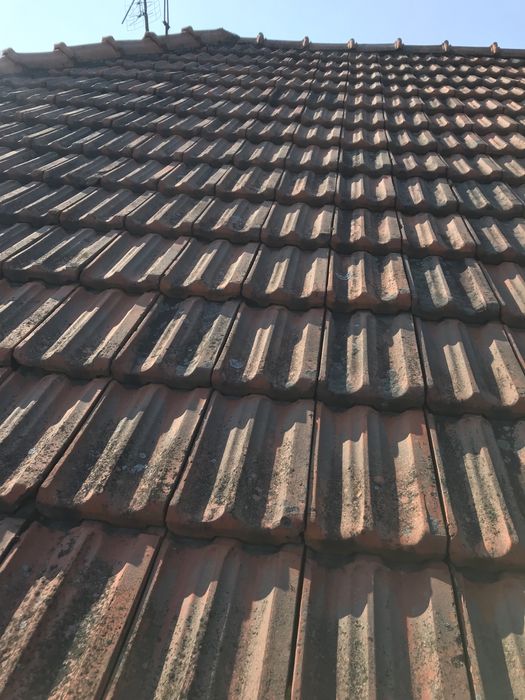 Продам б/у дахівку, і  гусаки 43штуки.Дахівки  орієнтовно 1500штук.