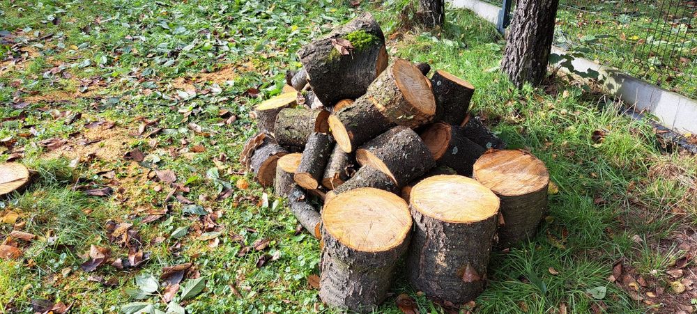 Owocowa  Wiśnia kawałki