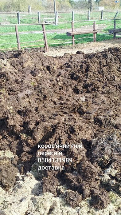 Коров'ячий гній.перегній