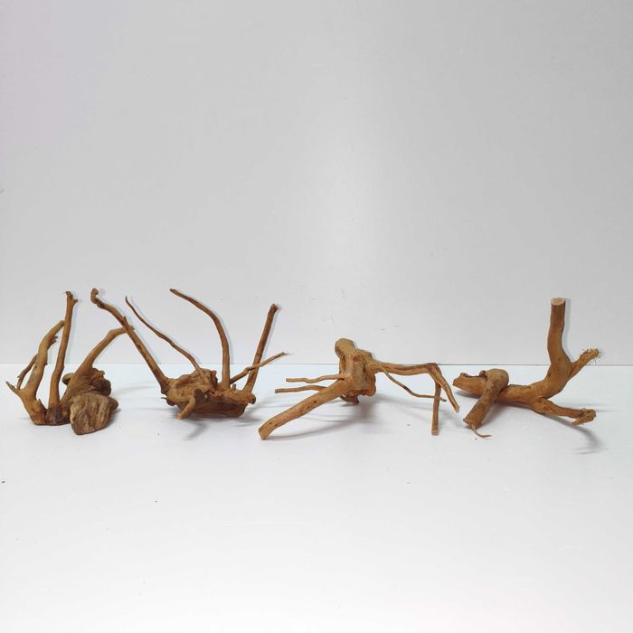 Korzenie japońskie 4 szt 15-20 cm nano do akwarium lub terrarium cena za 4 szt !