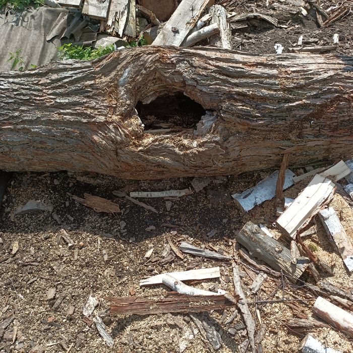 Donica dębowa naturalna drewniana monolit