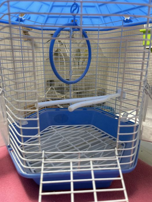 Gaiola passaro - como nova