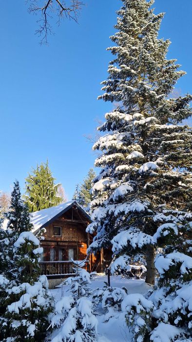 Domek Uroczysko Ferie 2026