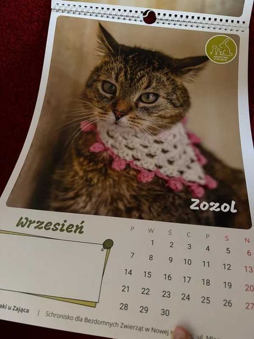 Kalendarz ścienny 2026