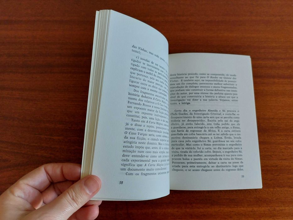Discurso Irregular I: Novela em Fernando Pessoa - Fernando L. Soares