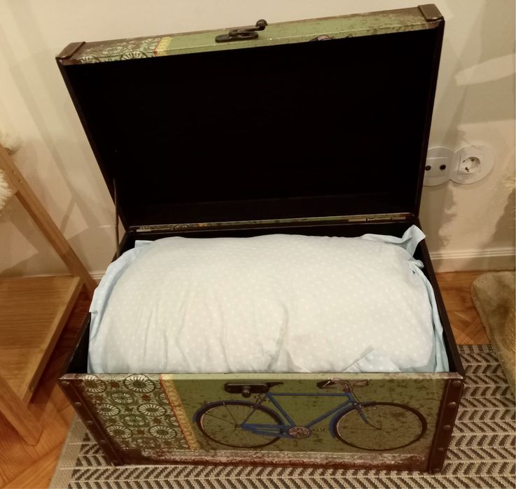 Baú Gato Preto vintage