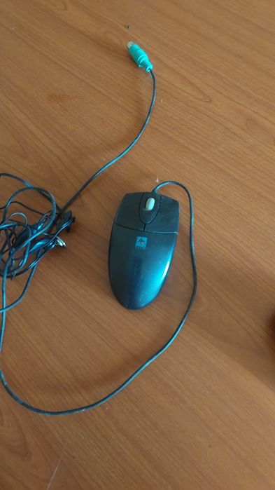 Мышь компьютерная 1