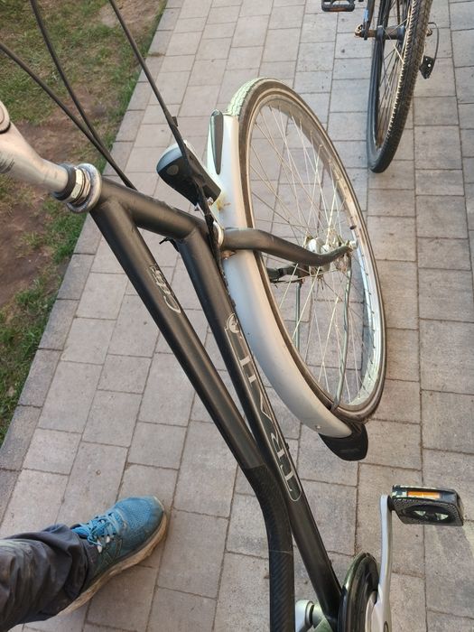 Rower miejski Trail city