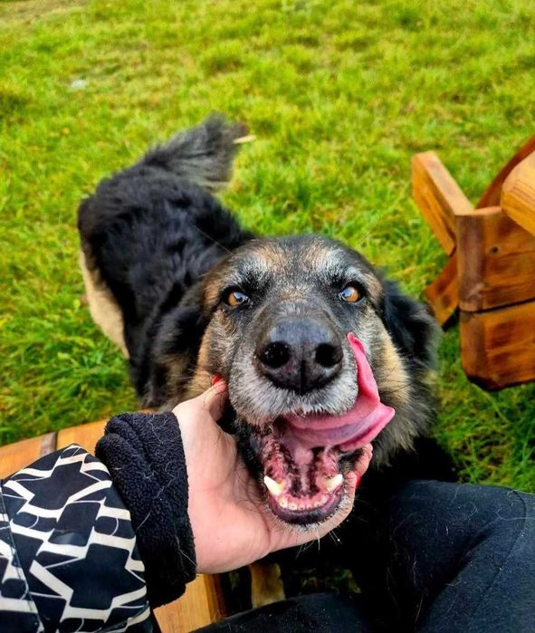 Matka z synem szukają domu