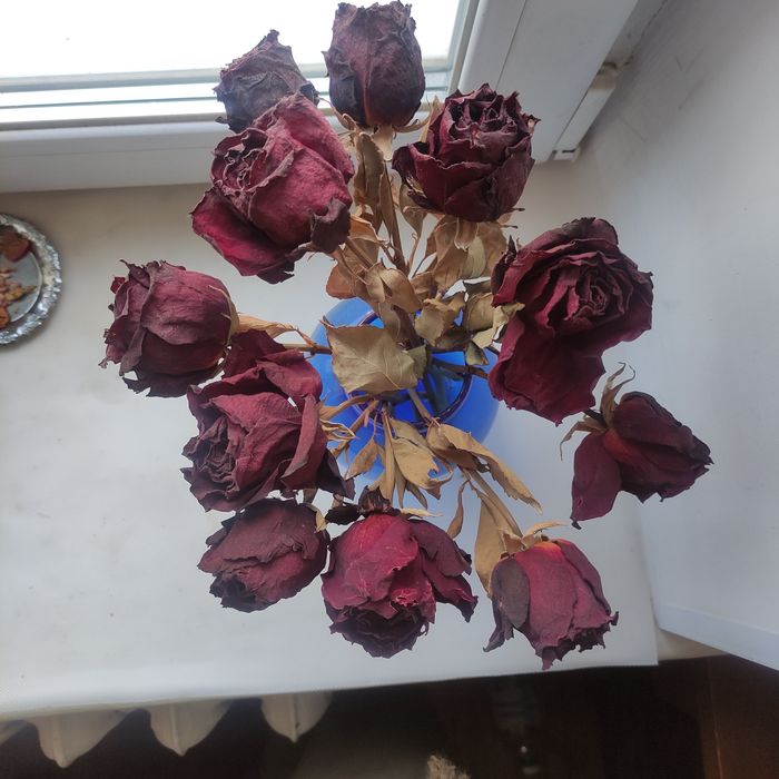 Сухі квіти, троянди