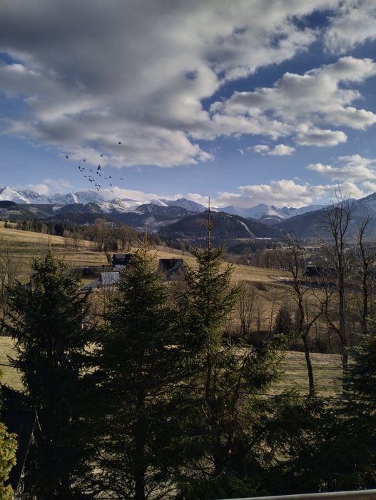 Apartamenty Zakopane WAKACJE