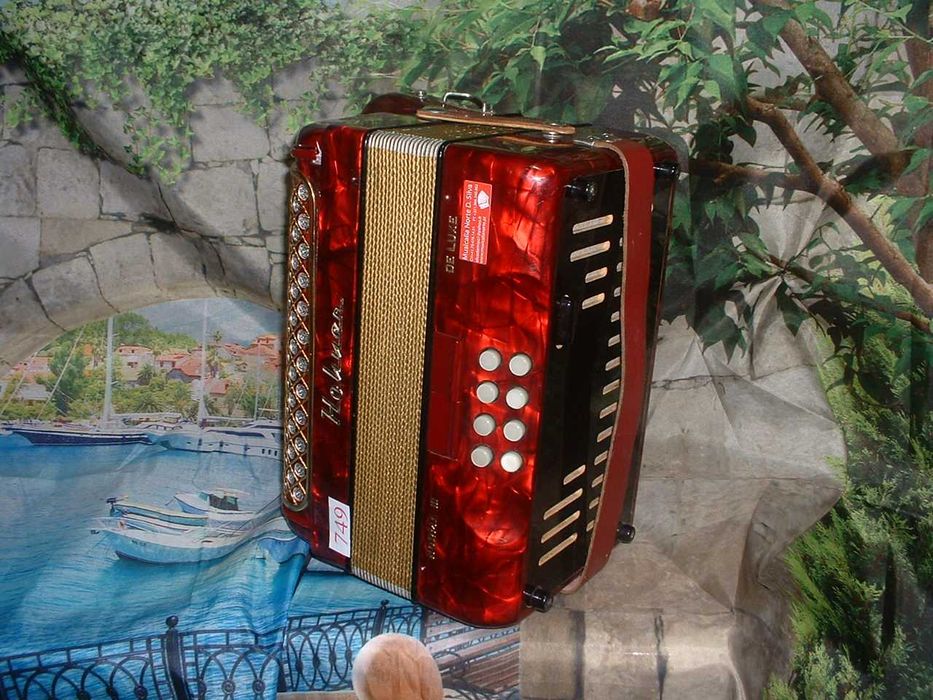 Concertina a venda n.749