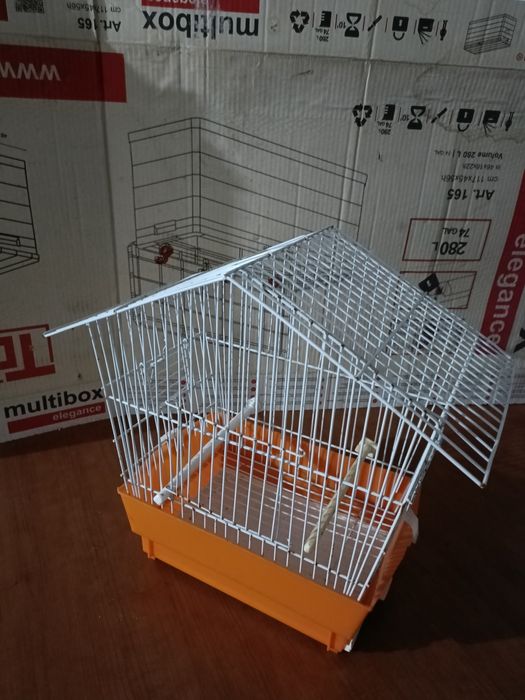 Periquito com Gaiola