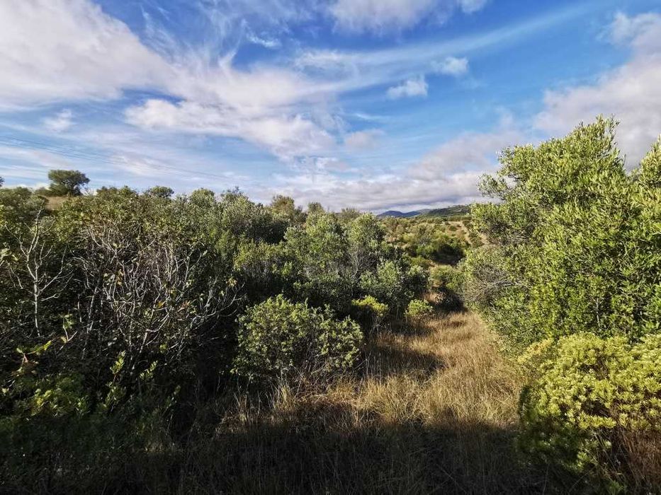Terreno em Pedrogão 50 centimos o m2