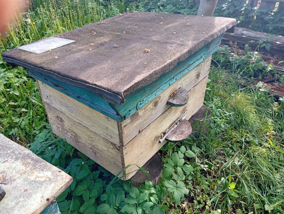 Продам вулики дадан