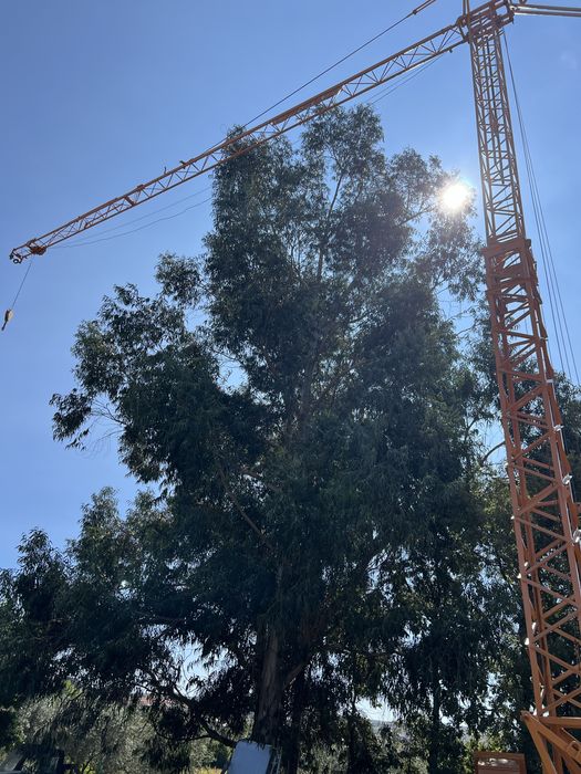 Grua  construcao 18x18 trifasica