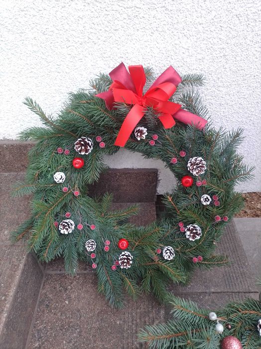 CHOINKA żywa Świerk Srebrny  Doniczki i Cięte Stroiki Wieniec Wience