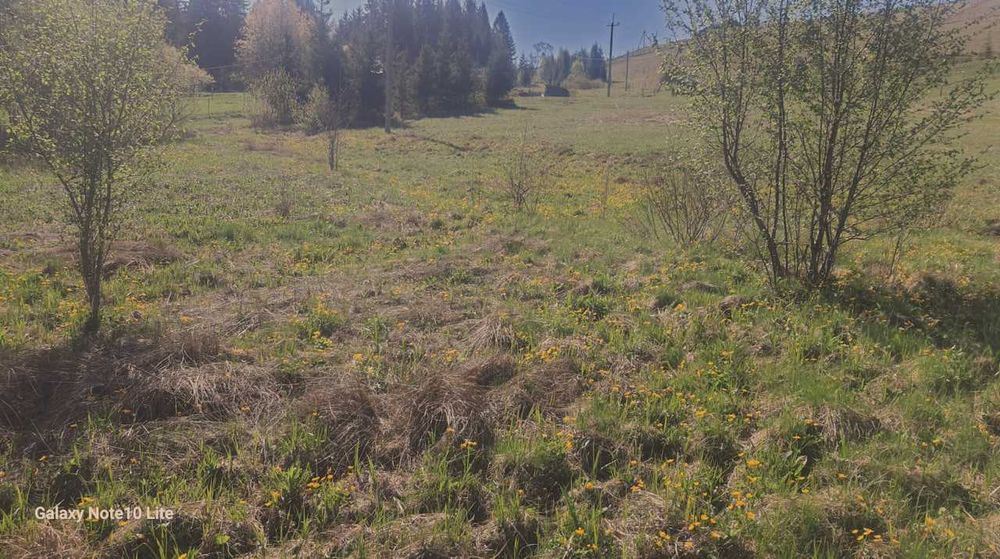 Продаж землі, Пушкар, пару сот метрів центр. Верховина