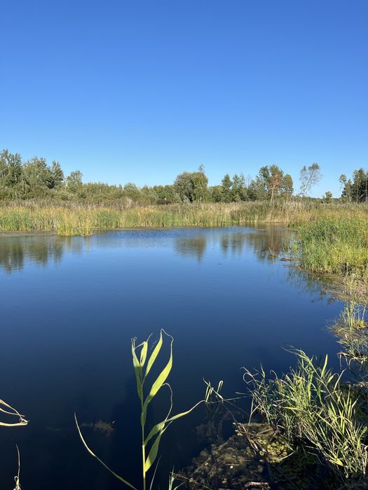 Кийлів. Земельна ділянка 20 соток. Вихід до Дніпра!