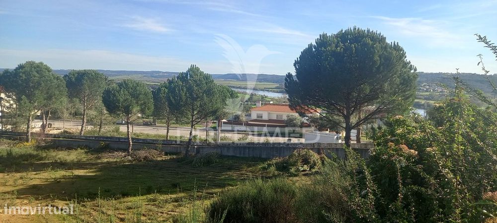 Lote de Moradia