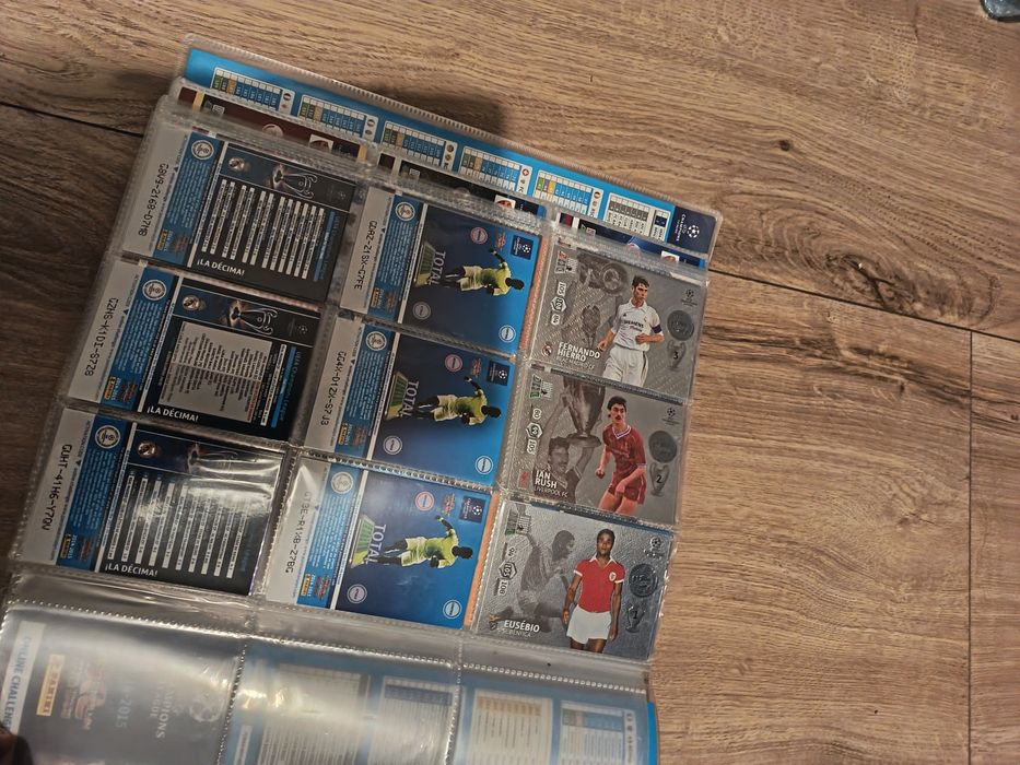 Sprzedam karty piłkarskie panini