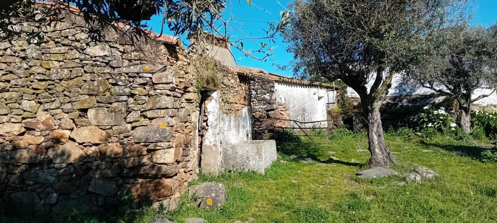 Monte alentejano 7500m2