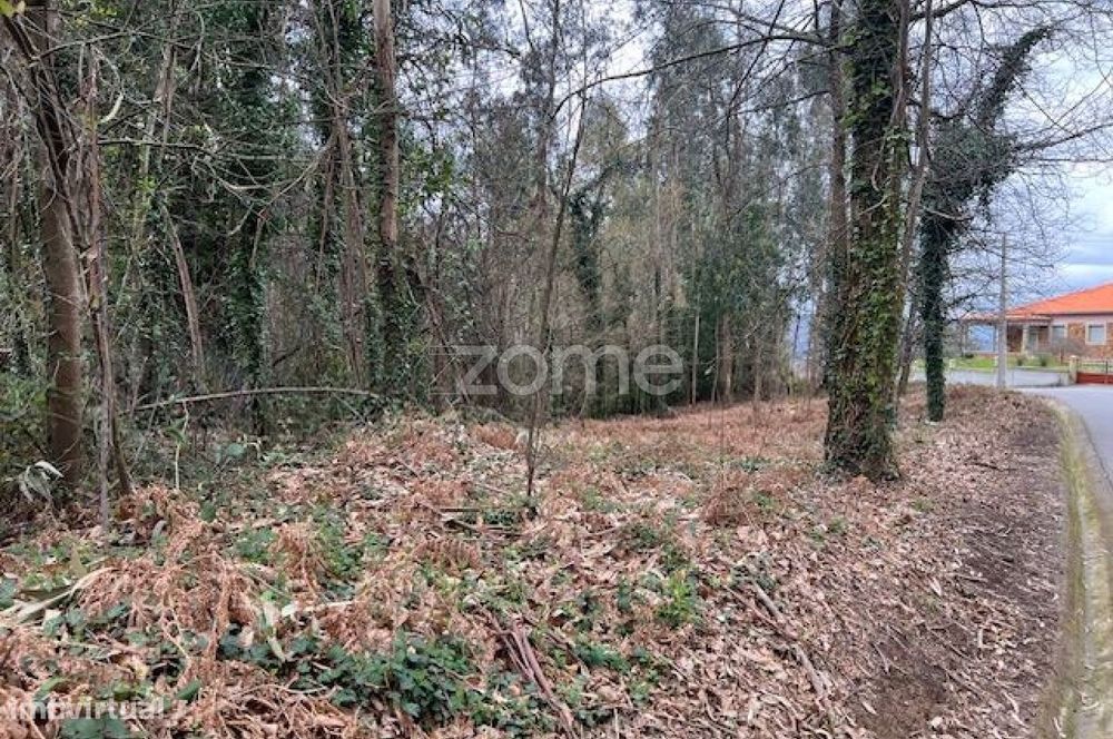 Terreno para venda - Ponte de Lima