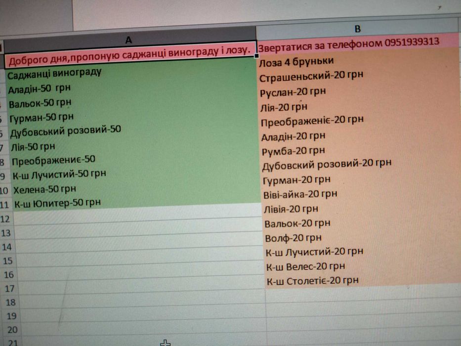 Саджанці винограду