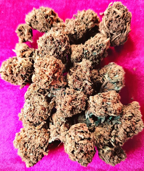 10 gram suszu CBD AK-47