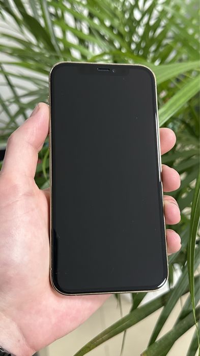 iPhone 12 Pro 256Gb Gold