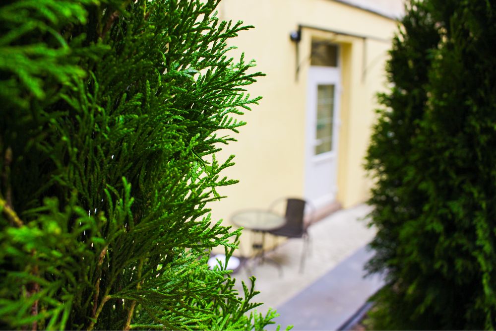 Затишна квартира ЦЕНТР міста , подобово