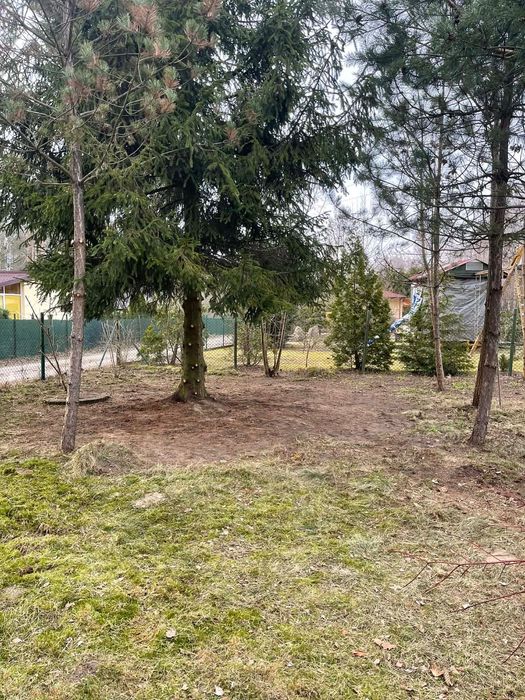 Usługi ogrodowe pomoc po pracy i weekendy