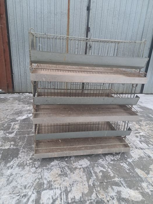 Klatka klatki dla przepiorek 3 poziomy