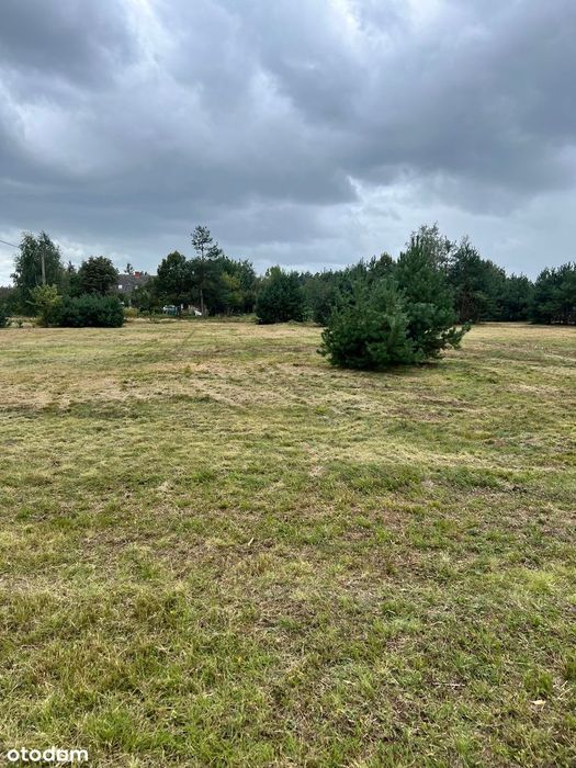 Działka budowlana 3010 m² prąd w drodze