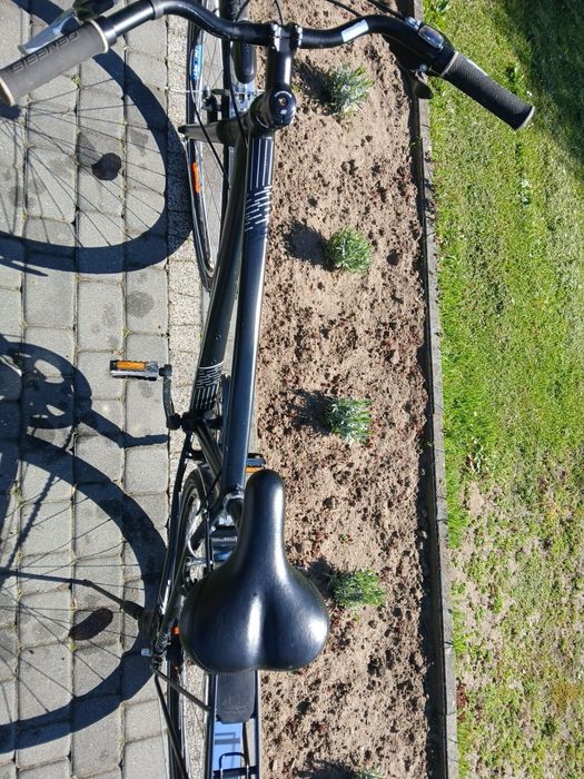 Rower Genesis 46 cm